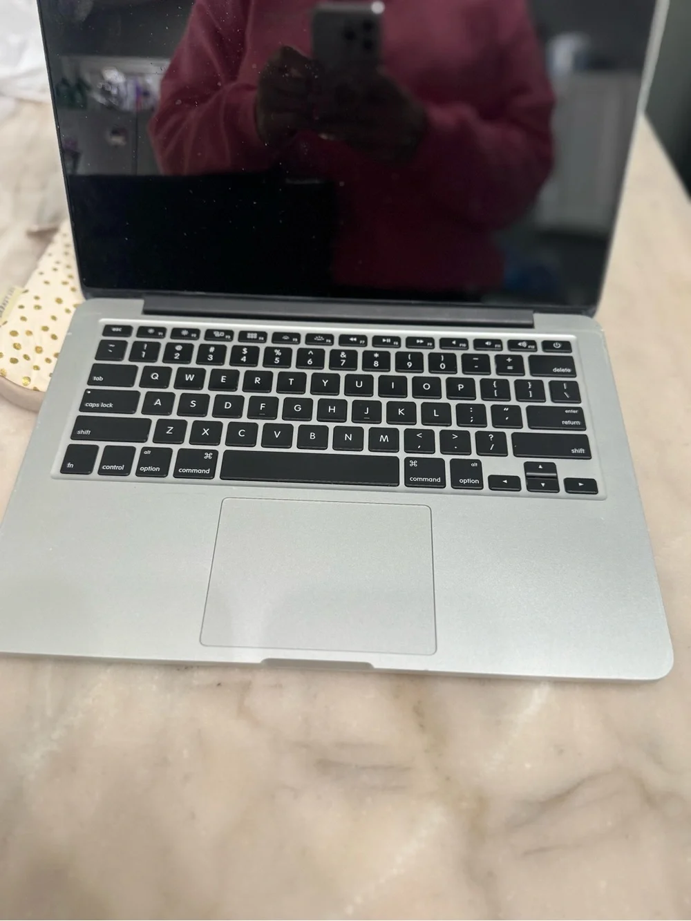 Apple Silver MacBook with Classic Apple Logo does not power on